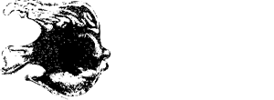 KISLINGER&reg; SVOBODNÉ SKLO
